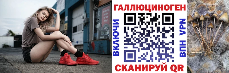 Купить  Никольское  Псилоцибиновые грибы мухоморы 