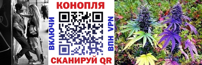 Купить закладки  Никольское  Бошки Шишки VHQ 
